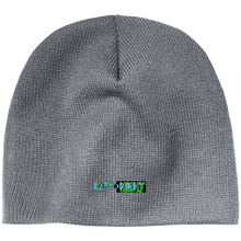 Load image into Gallery viewer, D2N Tint 100% Acrylic Beanie